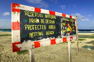 Turtle protection Cape Verde