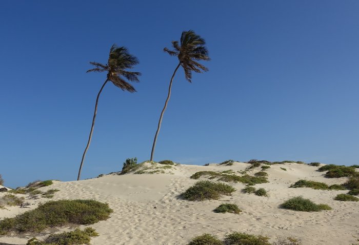 Boa Vista with vista verde tours