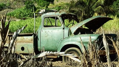 für Selbstfahrer - Auto