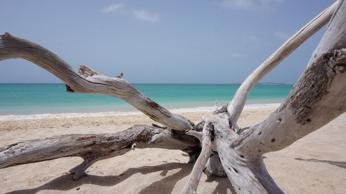 Boa Vista with vista verde tours