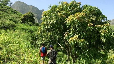 Wanderung auf Santiago