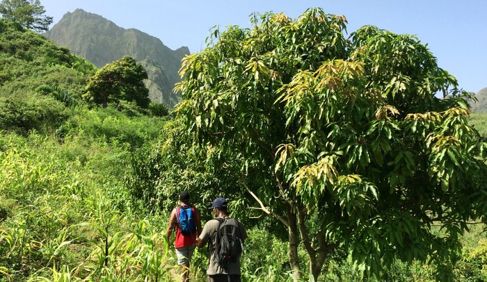 Santiago: the origin of Cabo Verde. And a hiker's paradise