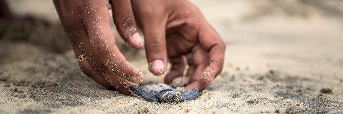 Nachhaltig Reisen auf die Kapverden - wir unterstützen den Schildkrötenschutz